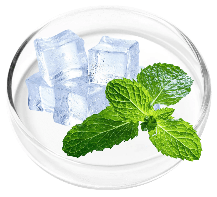 Menthol