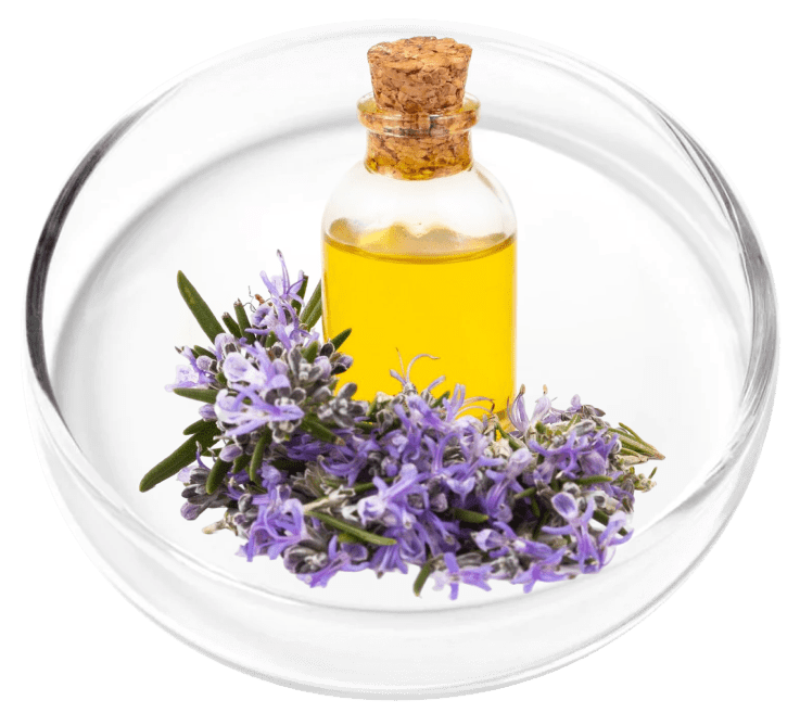 Lavender Oil