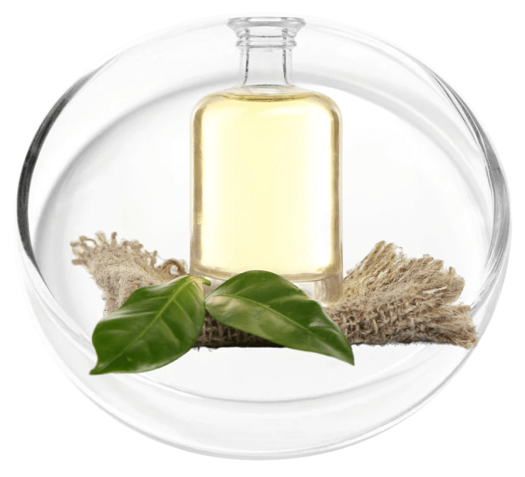 Camphor Oil